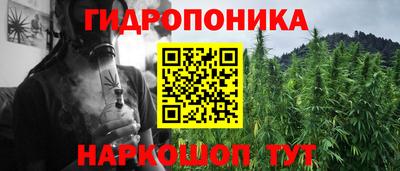 шишки Севастополь