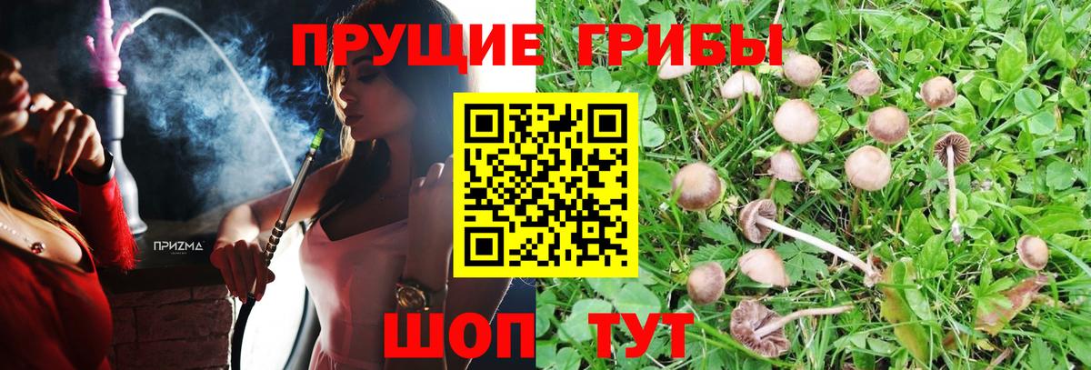 Галлюциногенные грибы GOLDEN TEACHER Петропавловск-Камчатский
