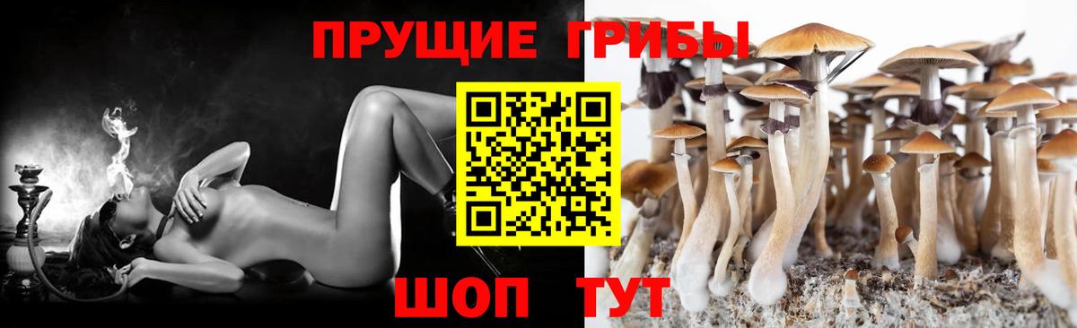 Галлюциногенные грибы Psilocybe  Вход с VPN  продажа наркотиков  Петропавловск-Камчатский 