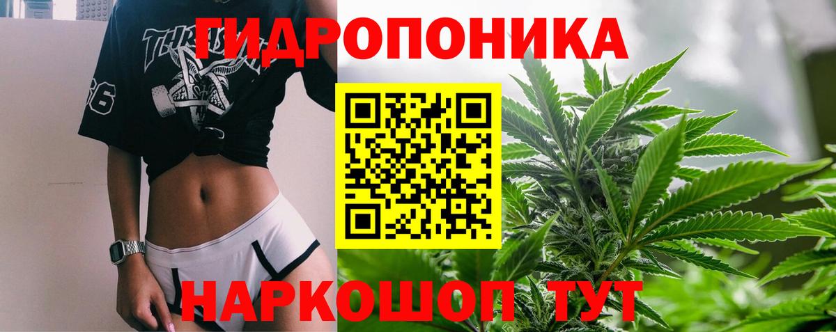 Шишки марихуана MAZAR  Вход с VPN  Петропавловск-Камчатский  Бошки марихуана ГИДРОПОН  Канабис семена 